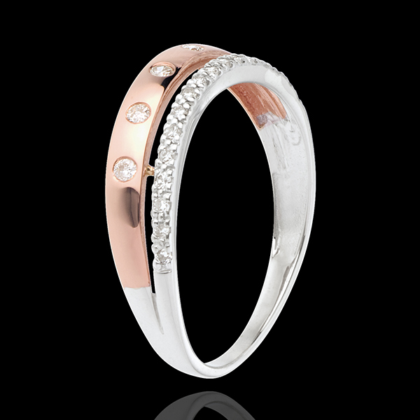 Ring Betovering - Sterrenkroon - klein model - 18 karaat witgoud en roségoud - 22 Diamanten