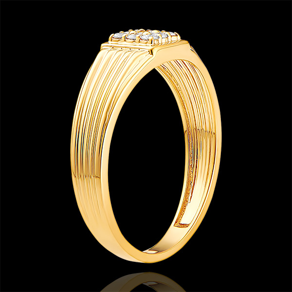 Dämmerschein Nr. 13