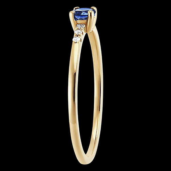 Paradiesvogel Nr. 19