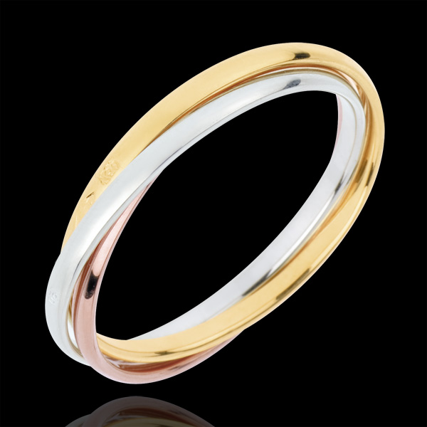 Trouwring Saturnus Beweging - klein model - 3 goudkleuren, 3 Ringen 18 karaat goud