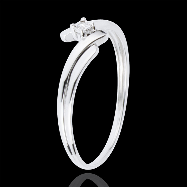 Nido Prezioso n. 68