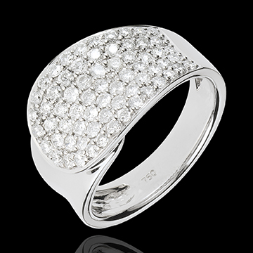 Ring Diamant Taal - 18 karaat witgoud