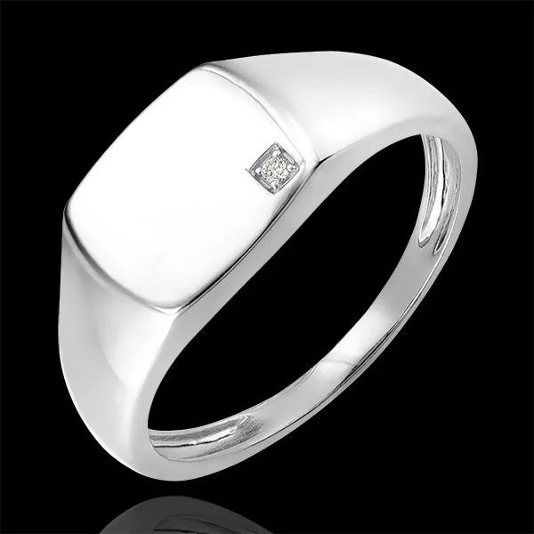 Pierścionek Światłocień - Sygnet Eneasz - 9 karatowe białe złoto i diament