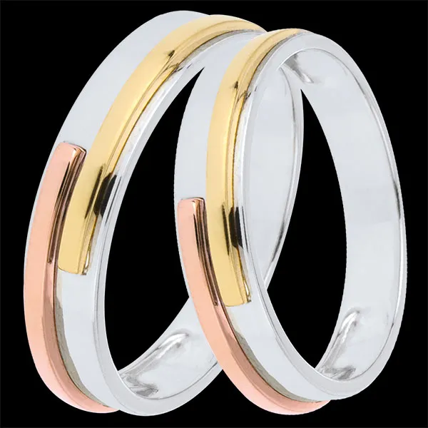 Titan Duo Wedding Rings – Three Golds – 9 Carat