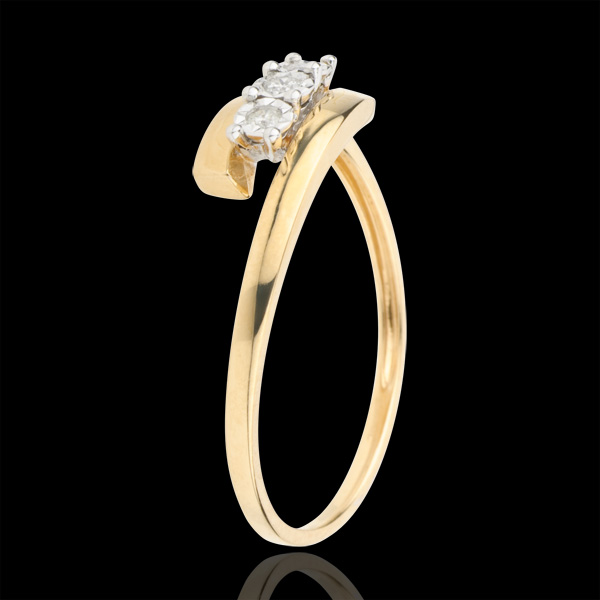 Nid Précieux nº 66