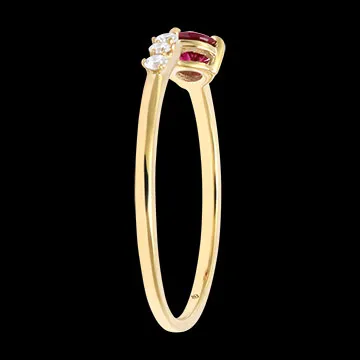 Anello Intervalle – Oro giallo 9 carati con diamanti sintetici e rubino sintetico