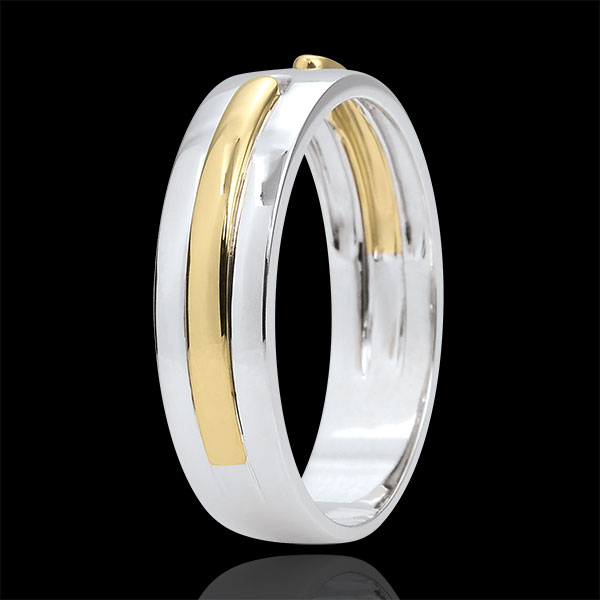 Wedding Ring Promise - all gold - two golds - very large model - 18 carat
