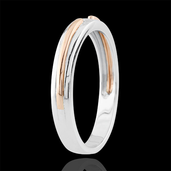 Wedding Ring Promise - rose gold and white - small model - 18 carat