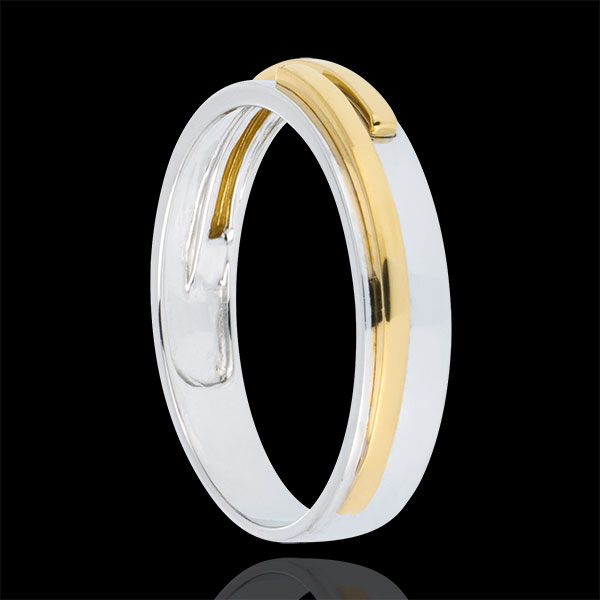 Wedding Ring Titan - Two golds