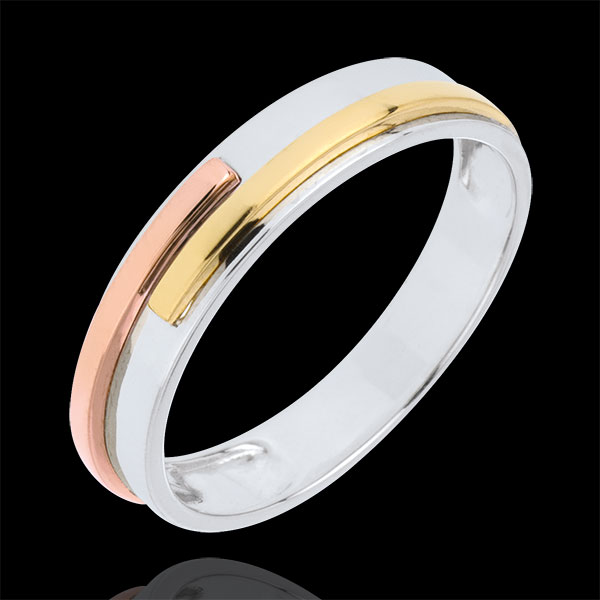 Wedding Ring White Titan - Three golds