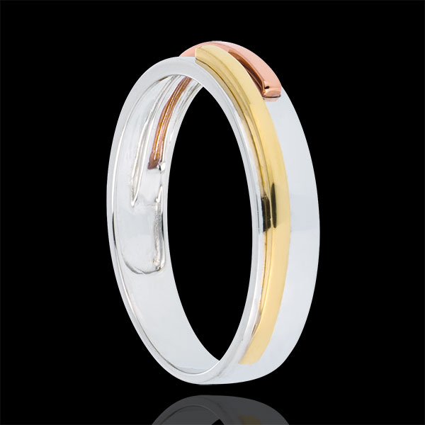 Wedding Ring White Titan - Three golds