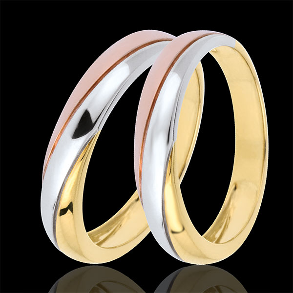 Wedding Rings Duo Saturn Trilogy - Three golds - 9 carats