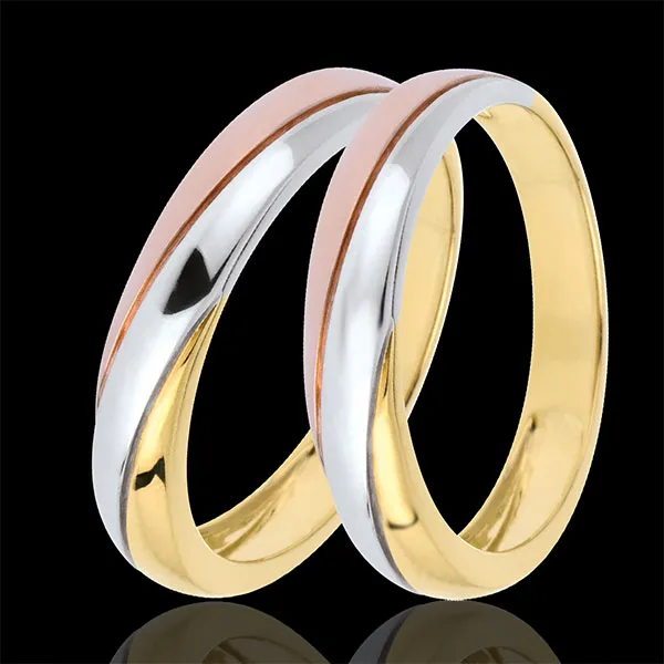 Wedding Rings Duo Saturn Trilogy -Three golds - 18 carats