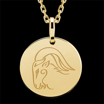 Rond medaillon gegraveerd - Capricorn - 9K geelgoud - Zodiac Yours Collectie - Edenly Yours