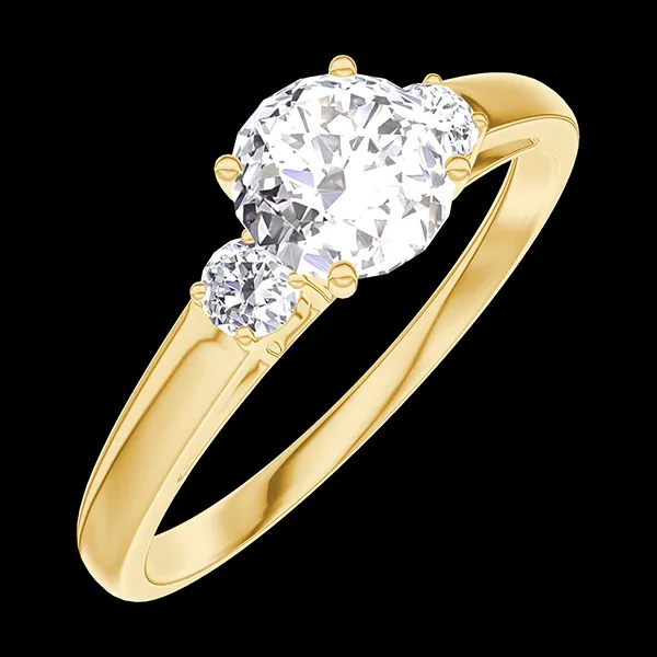 « L'Atelier » Nº162421 - Ring Geelgoud 18 karaat - Diamant rond 0.5 Karaat - Aanleunende edelstenen Diamant