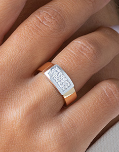 Constelación n.º 15