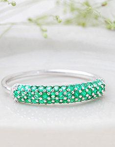 Aves del Paraíso Nº13