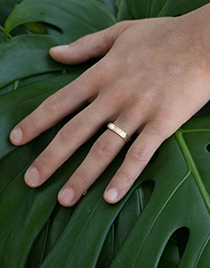 Promesse Nº10