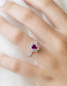 Eternal Edelweiss No. 1