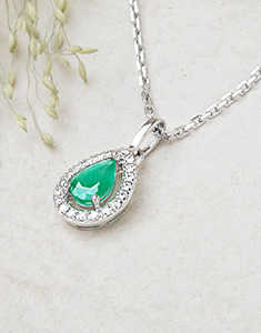 Edelweiss Eterna n.º 5