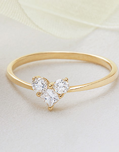 Precioso Secreto Nº17