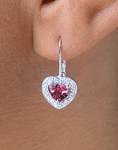 Oiseau de Paradis Nº39