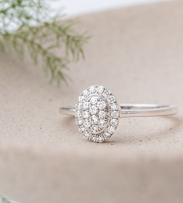 Freschezza n. 66