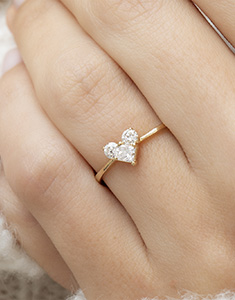 Prezioso Segreto n. 17