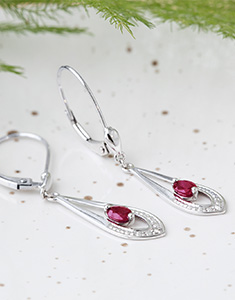 Pasăre din Paradis Nº33