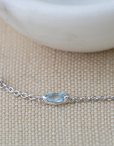 Aves del Paraíso Nº1