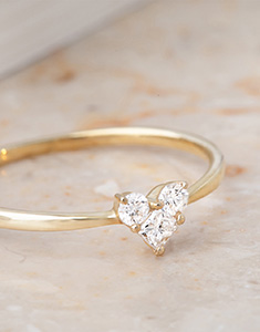 Précieux Secret Nº16