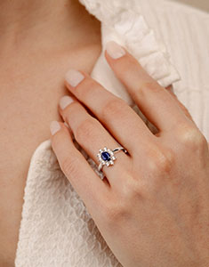 Ponadczasowa Szarotka nr 1