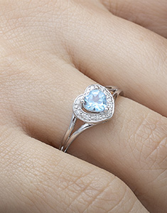 Uccello del Paradiso n. 5