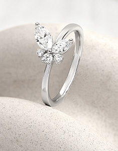 Balade Imaginaire No. 24