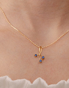 Aves del Paraíso n.º 11