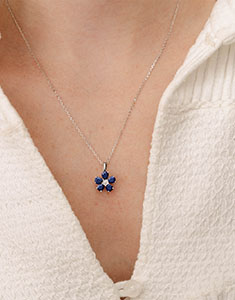 Uccello del Paradiso Nº12