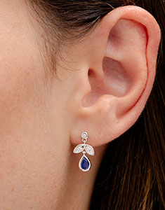 Aves del Paraíso n.º 22