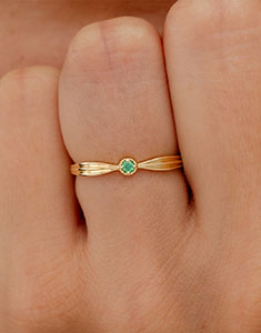 Oiseau de Paradis Nº26