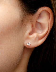 Prezioso Segreto Nº17