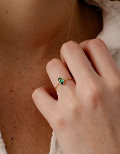 Oiseau de Paradis nº 38