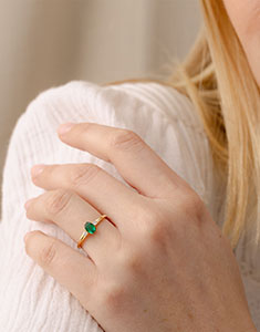 Oiseau de Paradis nº 35