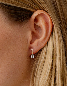 Paradijsvogel nr. 50