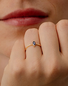 Oiseau de Paradis nº 33