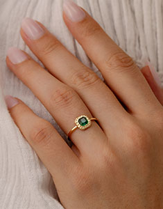 Oiseau de Paradis nº 29