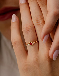 Oiseau de Paradis nº 37