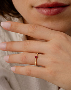 Oiseau de Paradis nº 21