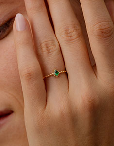 Oiseau de Paradis nº 25