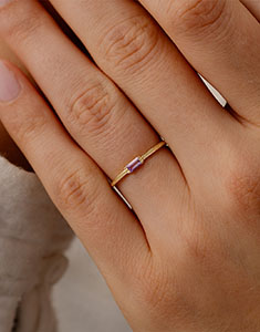 Oiseau de Paradis Nº27