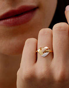 Prezioso Segreto n. 14