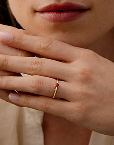 Paradijsvogel nr. 18